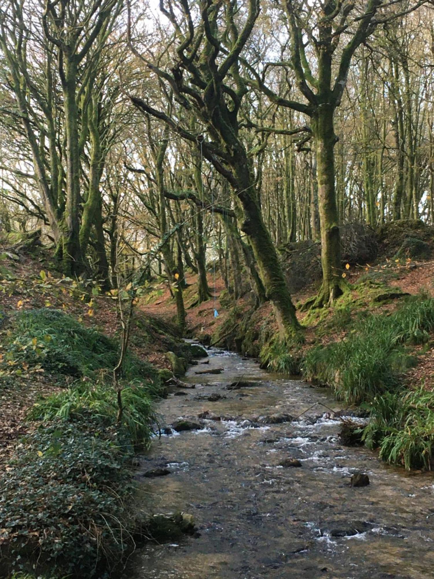 Pyggwyn Lägenhet Penzance Exteriör bild